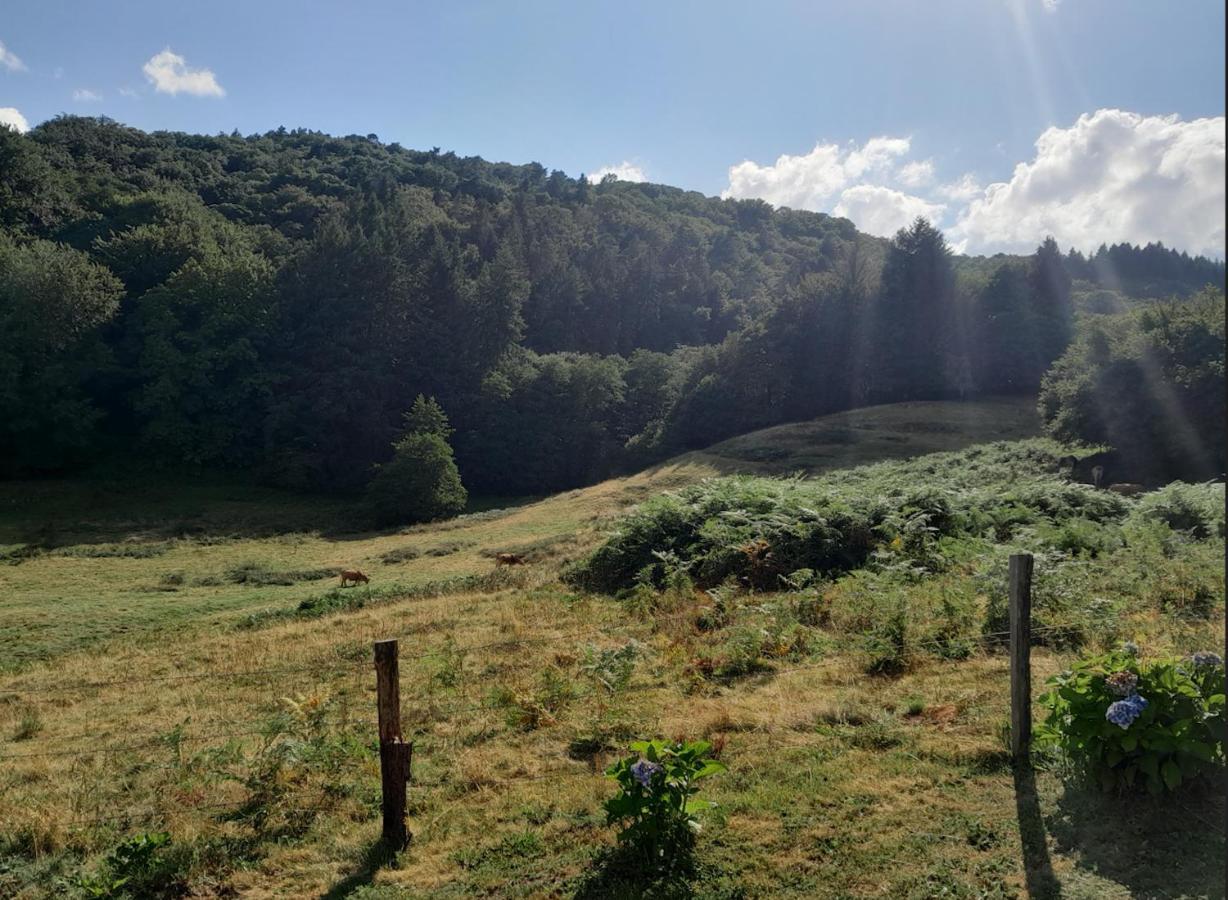 Chalet Charmant A Saint-Sylvestre Avec Terrasse Et Jardin Ambazac Екстериор снимка